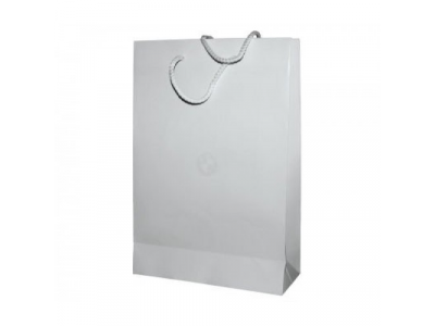 Бумажный подарочный пакет BMW Paper Bag, White, Size S